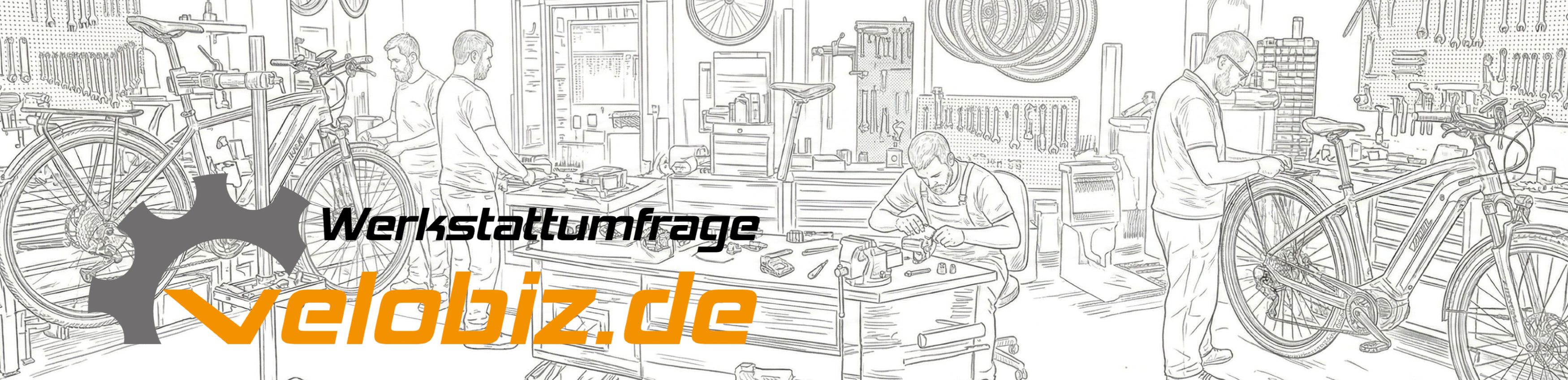 velobiz.de Werkstattumfrage