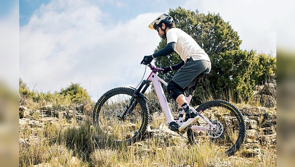 Foto: Mahle - Der M40 markiert den Einstieg in das Mittelmotor-Segment