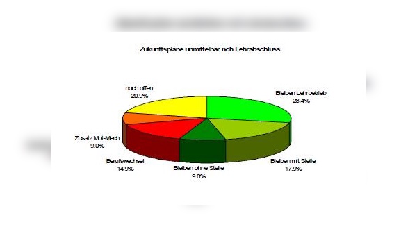 Zukunftspläne von Fahrrad- und Kleinmotorradmechaniker nach der Ausbildung