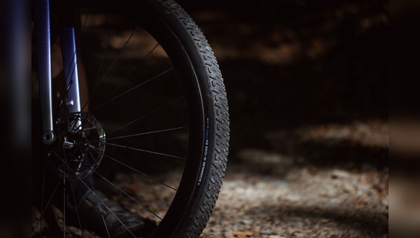 Foto: Schwalbe 