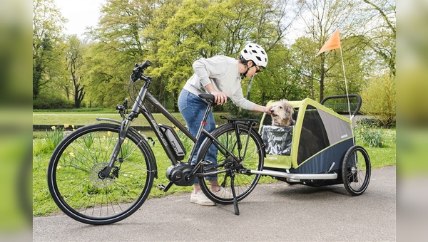 Mit dem Fahrradanhänger Dog von Croozer ist die Fahrradtour mit dem vierbeinigen Begleiter kein Problem mehr.