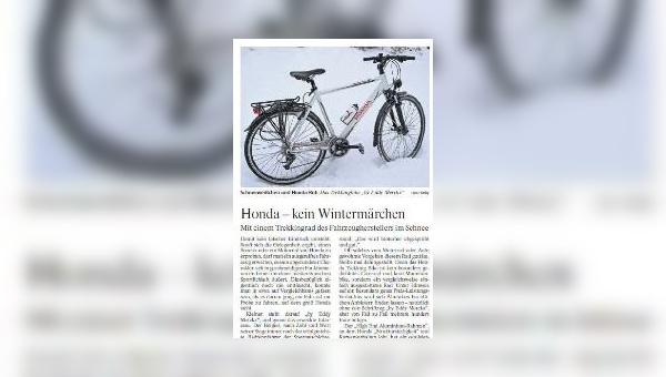 FAZ vom 19.01.2010