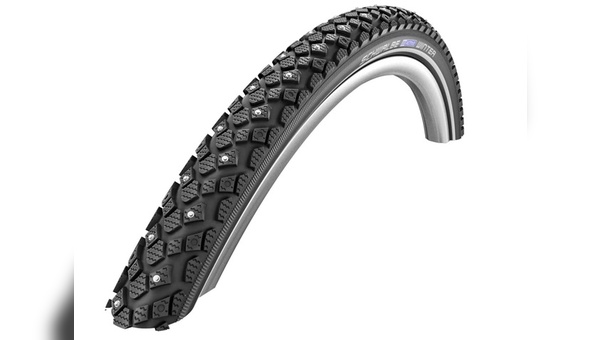 Schwalbe Winter