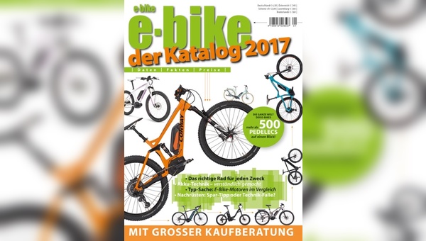 Blick auf den E-Bike-Markt 2017