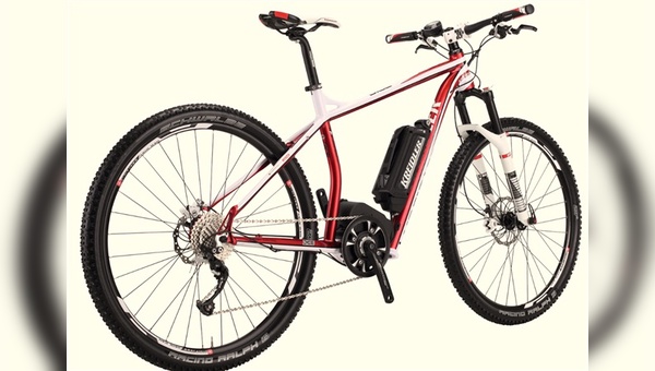 Vitality Dice 29-Zoll E-MTB