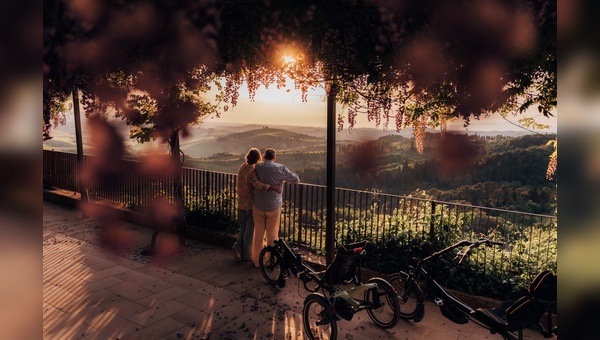 Foto: Hase Bikes - Kettwiesel ONE