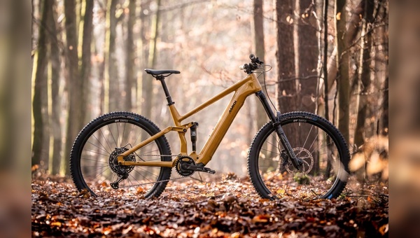 Das neue Fab4 ELA von Maxx.