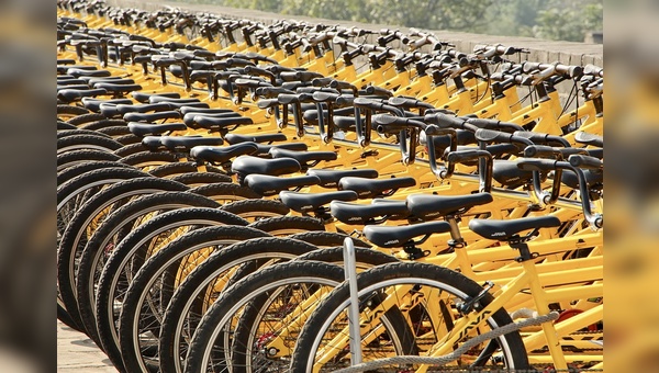 Die großen Fahrradproduzenten in China sind auf Wachstumskurs.
