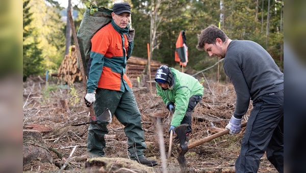 Der Dienstradanbieter unterstuetzt ein Bergwaldprojekt in Niedersachsen.