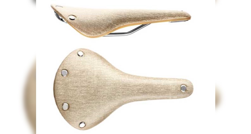 Brooks Cambium