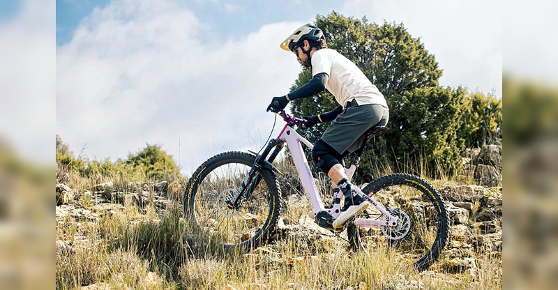 Foto: Mahle - Der M40 markiert den Einstieg in das Mittelmotor-Segment