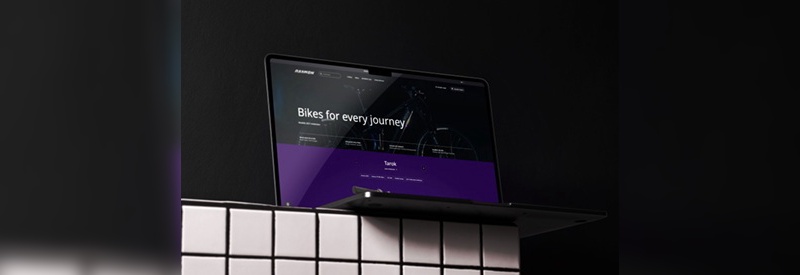 Foto: Raymon Bicycles (KI-generiert) Foto: Raymon Bicycles (KI-generiert)