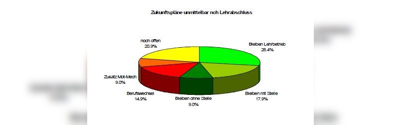 Zukunftspläne von Fahrrad- und Kleinmotorradmechaniker nach der Ausbildung