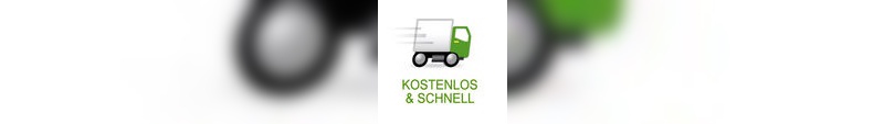 Das neue "Kostenlos und Schnell" Logo von eBay