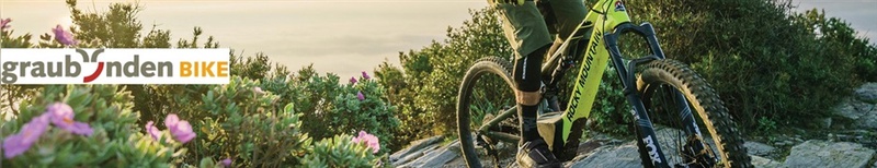 Umfrage unter E-Mountainbikern