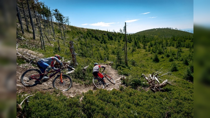 Erster Bikepark in Polen im Gravitycard-Verbund