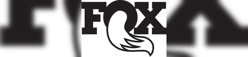 Fox im Vorwärtsgang.