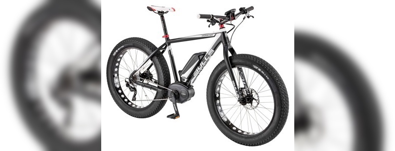 Motorisiertes Fatbike