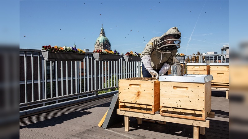 Imkerin bei den Bienenstöcken der Wertgarantie Group in Hannover.