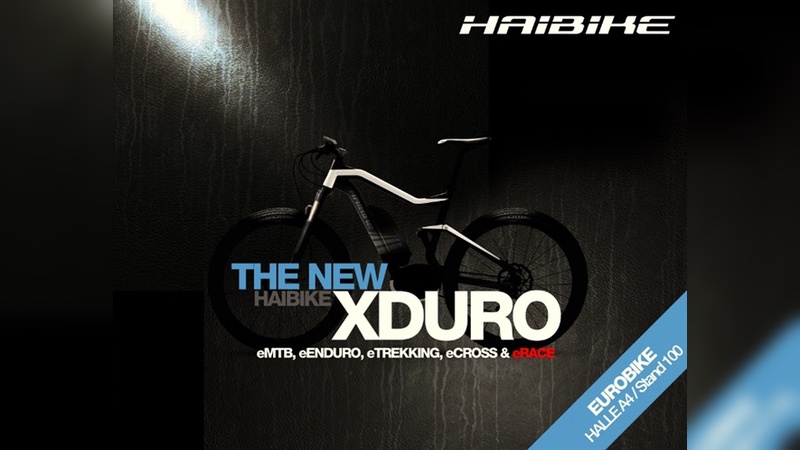 Haibike Haibike