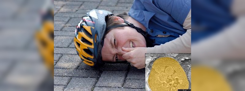 Kann man künftig defekte Fahrradhelme am Geruch erkennen?