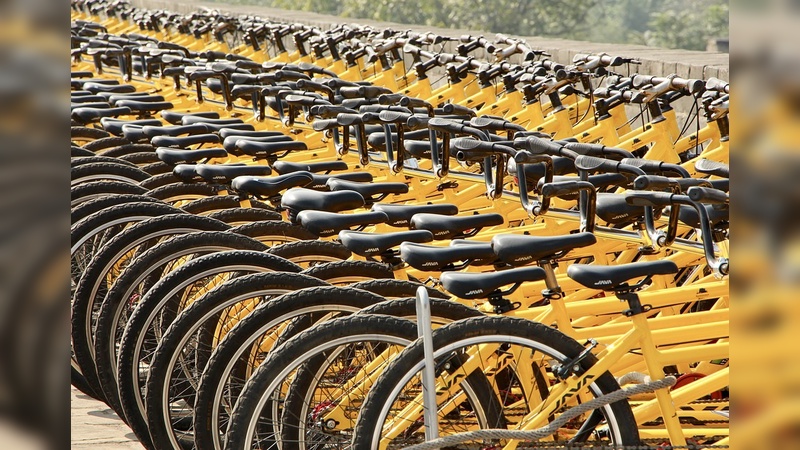 Die großen Fahrradproduzenten in China sind auf Wachstumskurs.