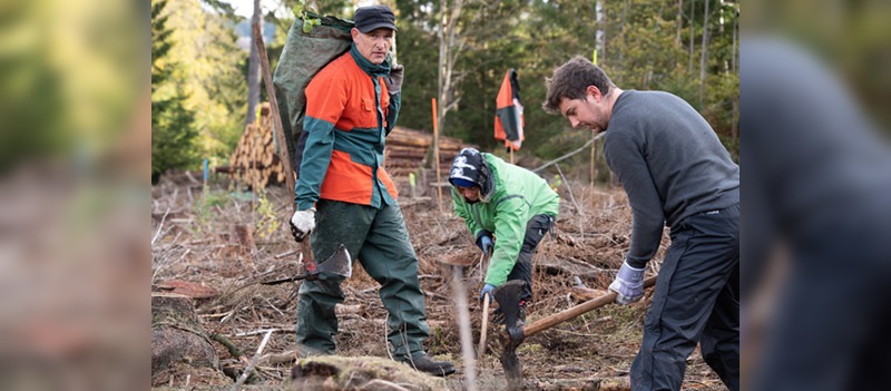 Der Dienstradanbieter unterstuetzt ein Bergwaldprojekt in Niedersachsen.