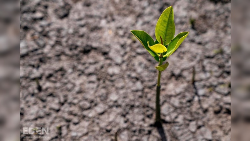 Endura engagiert sich für den Klimaschutz