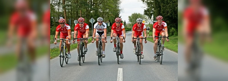 Team Focus Alpecin