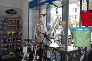 Giant ist eine der Hauptmarken bei Fahrräder Röckemann