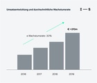 Die Umsatzentwicklung bei Internetstores