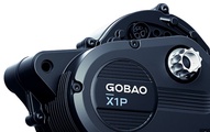 Foto: Gobao - integrierte Schaltung im Motor X1P