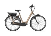 Ausgezeichnetes Modell von Gazelle: