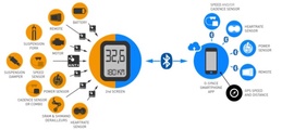 Multitalent: Coachsmart von O-synce