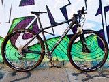 29er-Hardtail Lolite