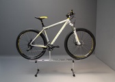 Rolli up&down mit Mountainbike