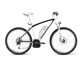 Cruise e-Bike