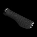 Ergon GMS