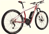 Vitality Dice 29-Zoll E-MTB