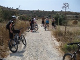 Schmale Single Trails oder breite Forstwege: Ohne Guide ist man auf Zypern schnell verloren.