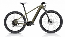 Mountain-Hardtail