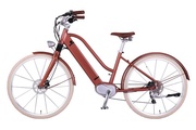 Neues E-Bike-Modell der Schweizer Anbieters