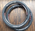 Hans Dampf fährt 650B  bei Schwalbe