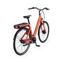 E-Bikes zum Einsteigerpreis